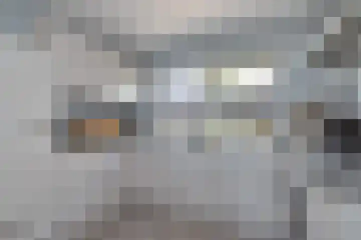 Julianastraat 65 't Zand thumbnail 11