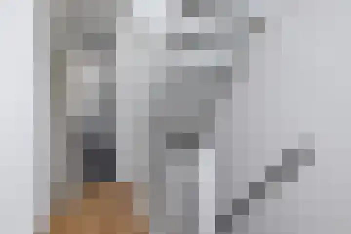 Julianastraat 65 't Zand thumbnail 13