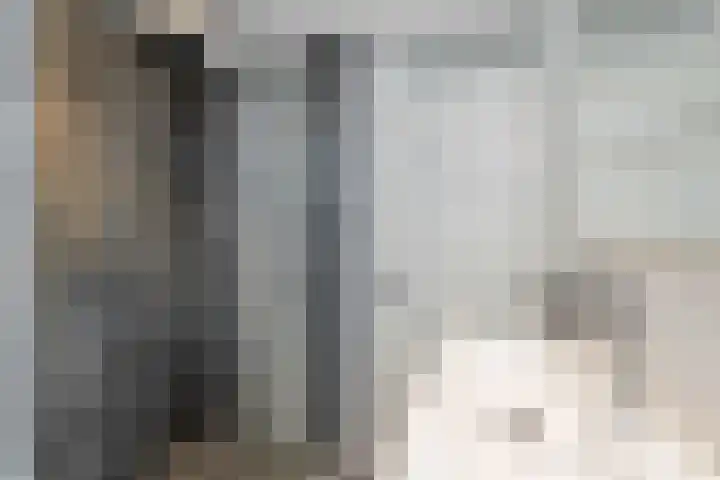 Julianastraat 65 't Zand thumbnail 14