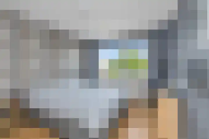 Julianastraat 65 't Zand thumbnail 16