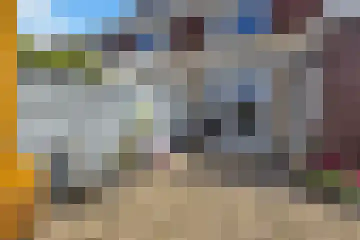 Julianastraat 65 't Zand thumbnail 29