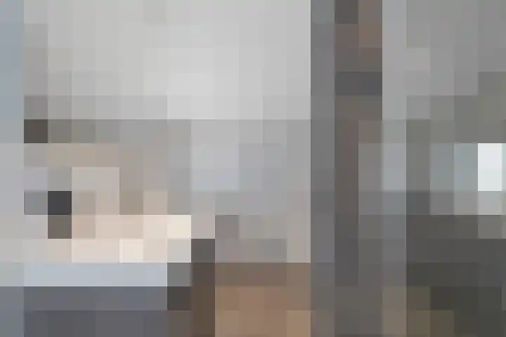 Julianastraat 65 't Zand thumbnail 4