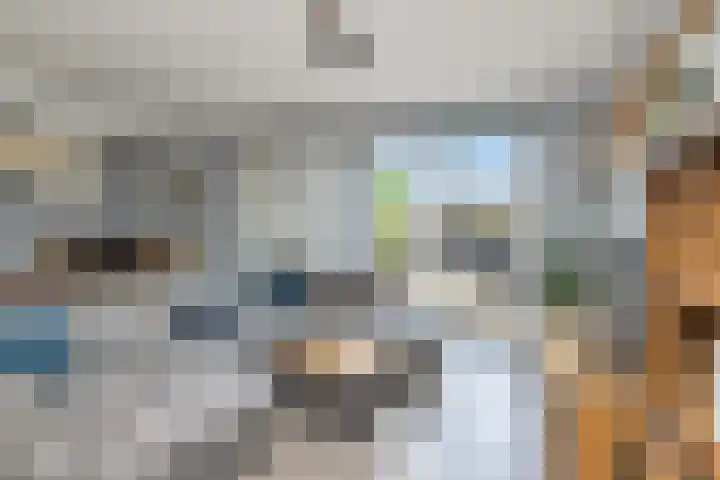 Julianastraat 65 't Zand thumbnail 8