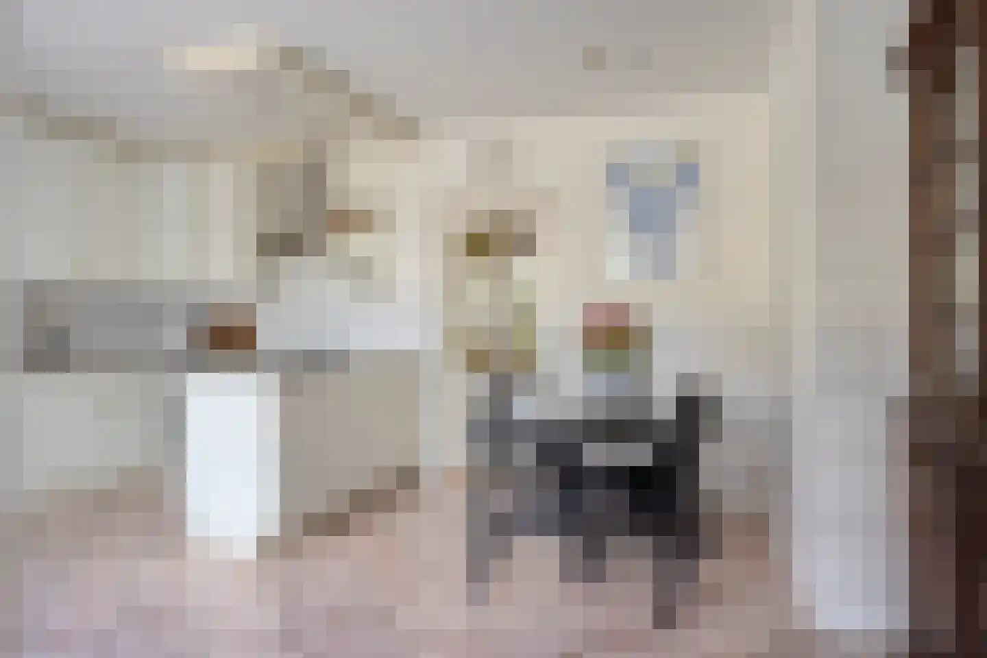 Julianastraat 66 Heikant thumbnail 13