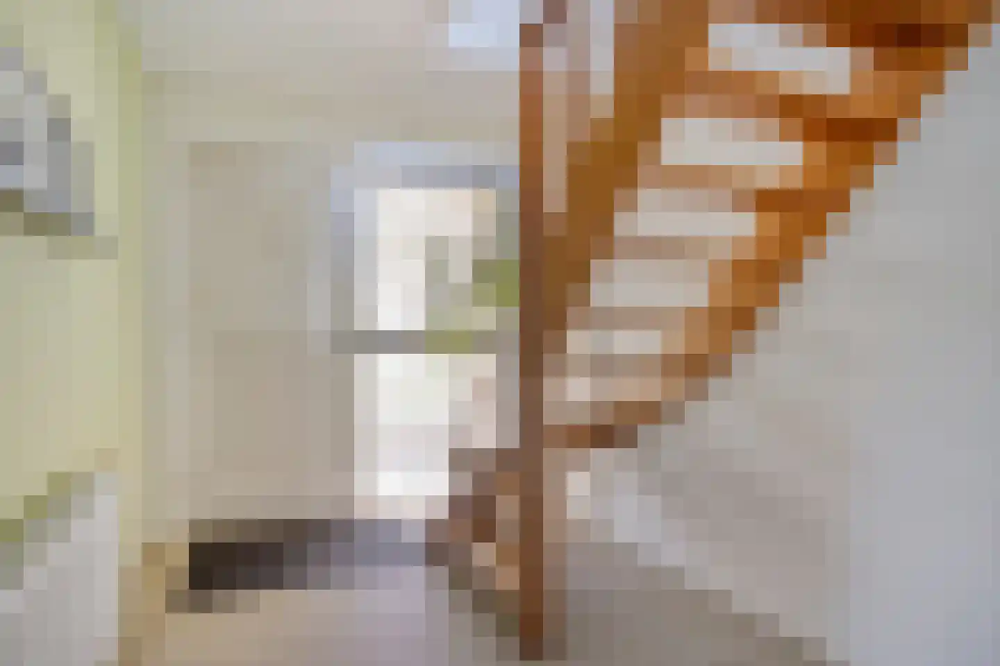 Julianastraat 66 Heikant thumbnail 29