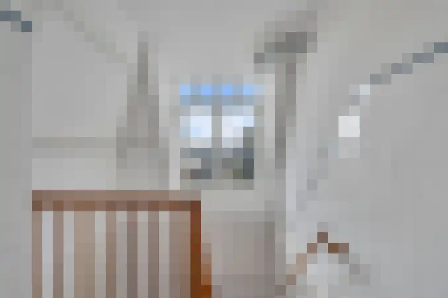 Julianastraat 67 E Alphen aan den Rijn thumbnail 14