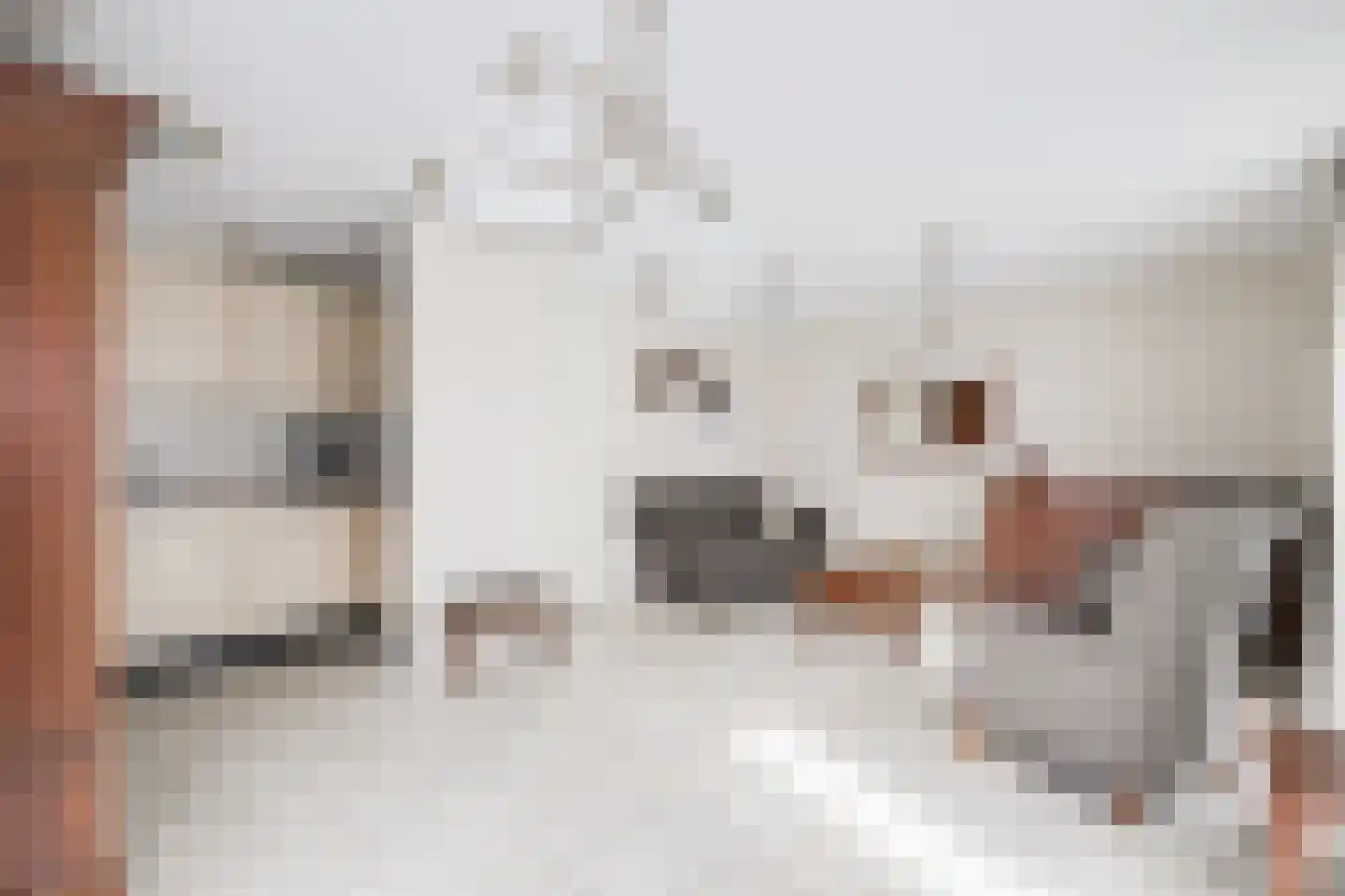Julianastraat 68 Dinxperlo thumbnail 10