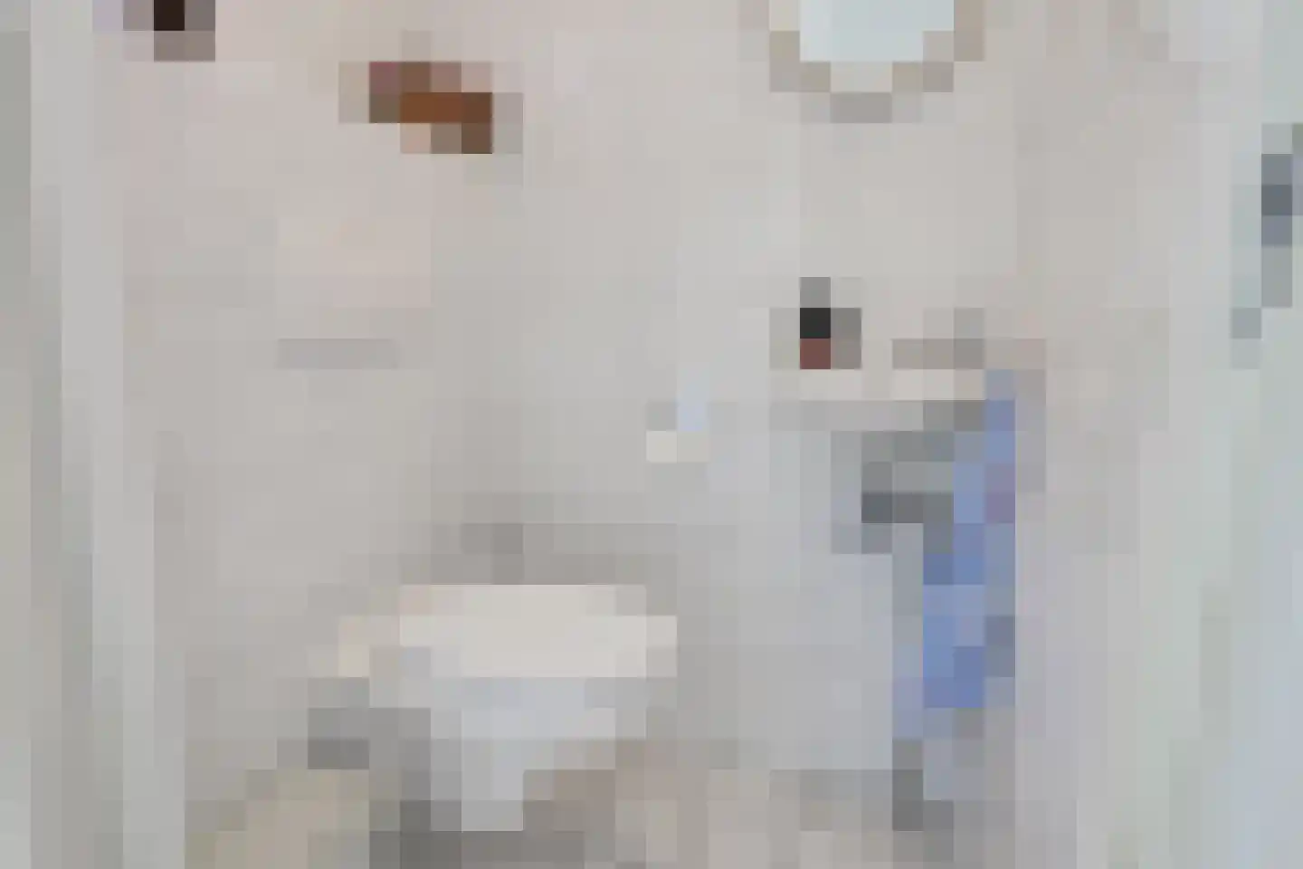 Julianastraat 68 Dinxperlo thumbnail 17