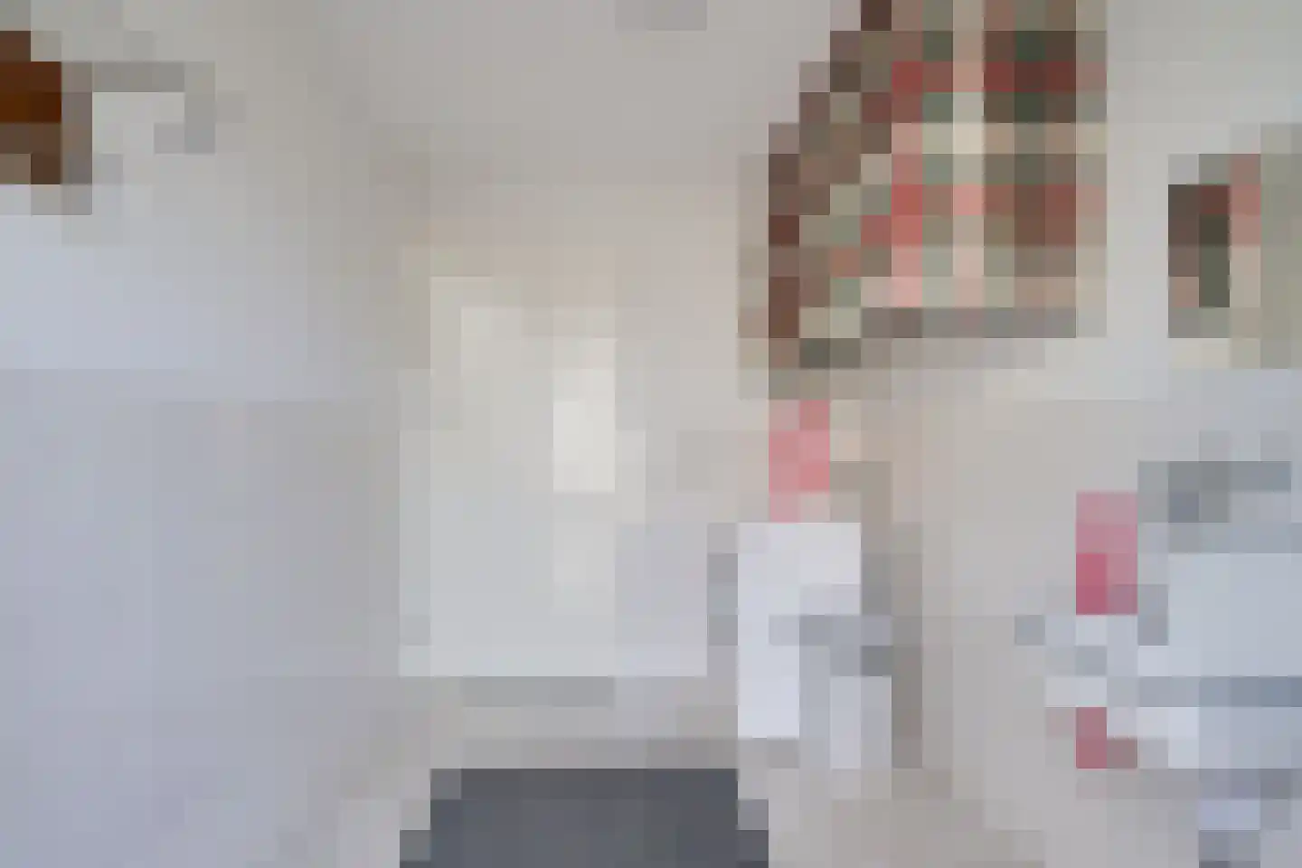 Julianastraat 68 Dinxperlo thumbnail 19