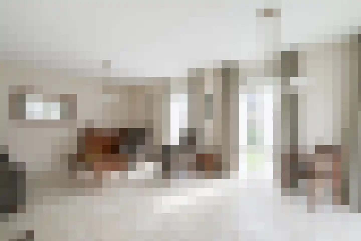 Julianastraat 68 Dinxperlo thumbnail 4