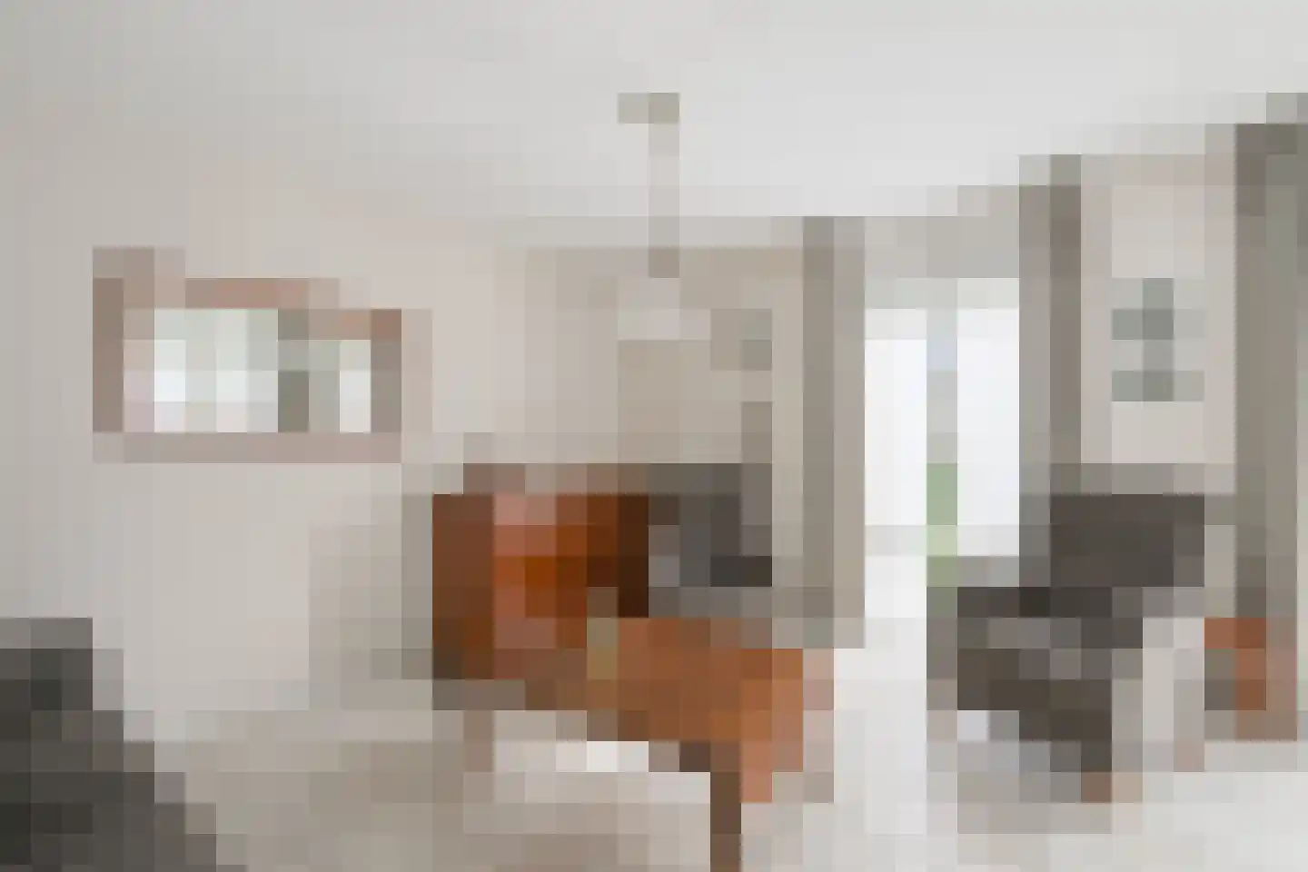 Julianastraat 68 Dinxperlo thumbnail 6