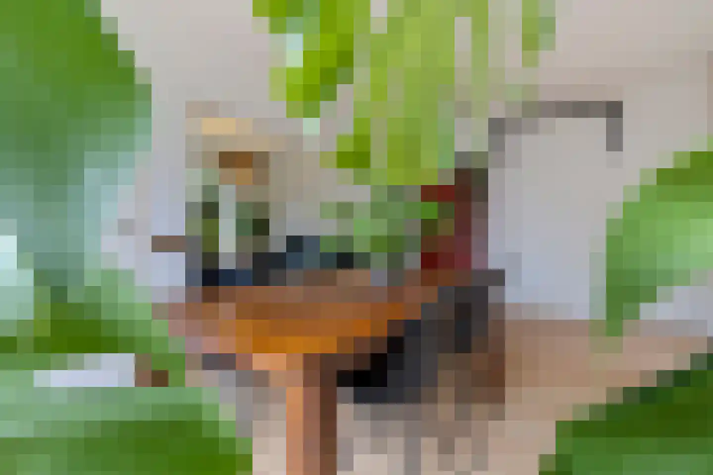 Julianastraat 69 Elsloo thumbnail 11