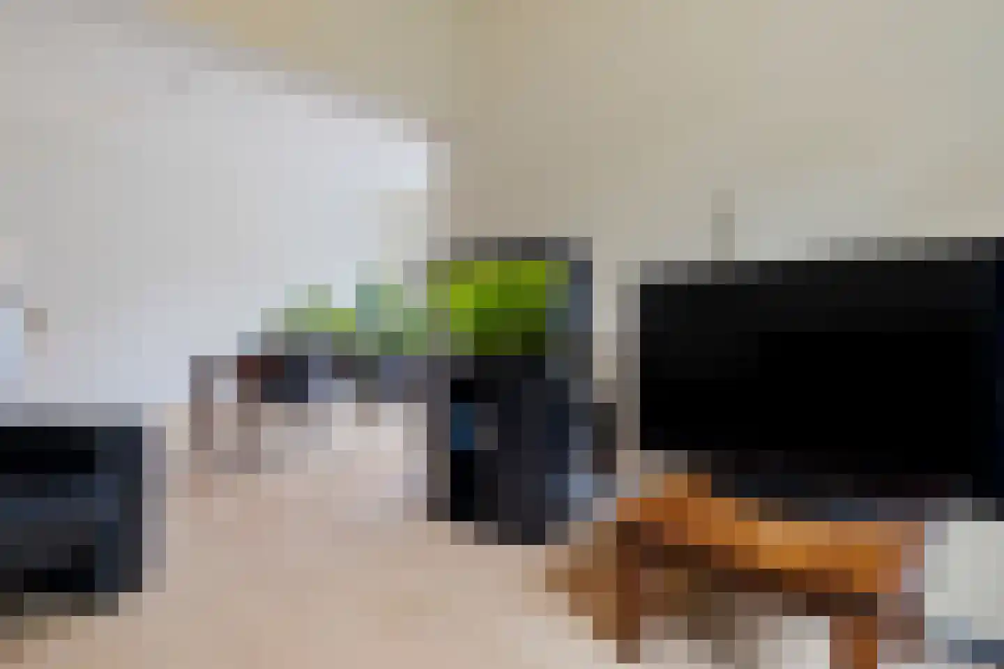 Julianastraat 69 Elsloo thumbnail 15