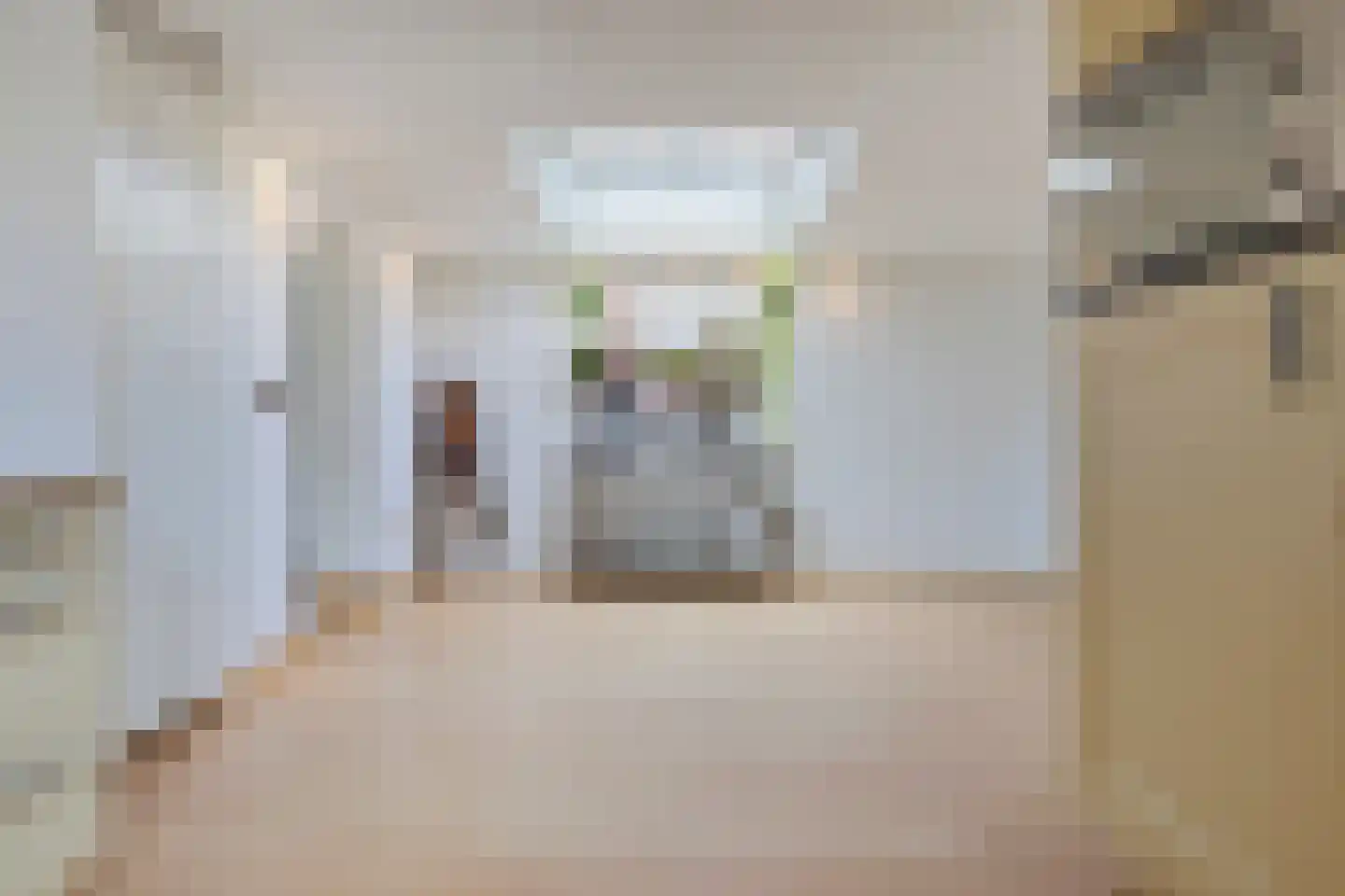Julianastraat 69 Elsloo thumbnail 19
