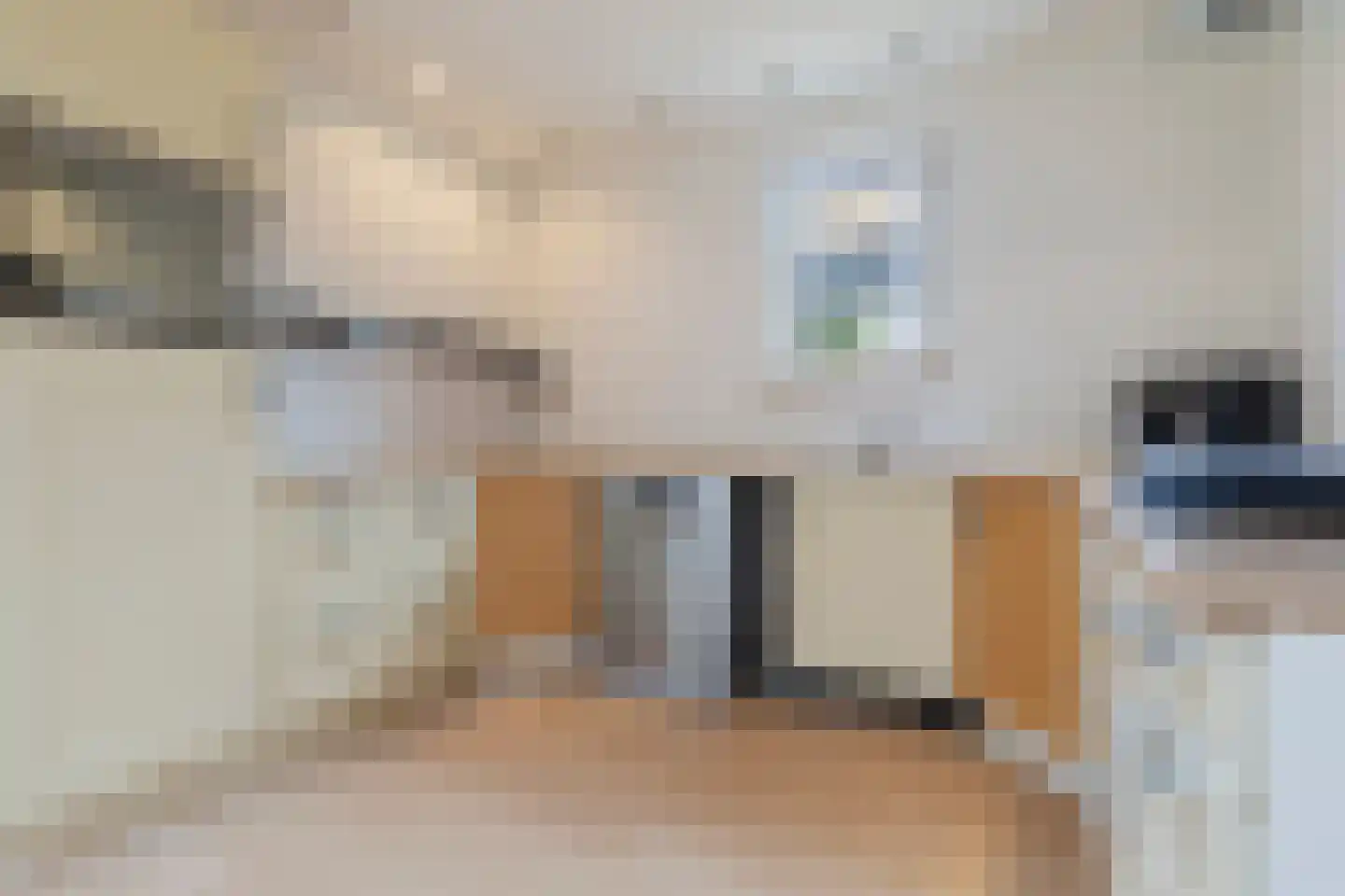 Julianastraat 69 Elsloo thumbnail 20