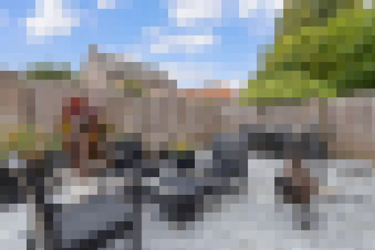 Julianastraat 69 Elsloo thumbnail 25