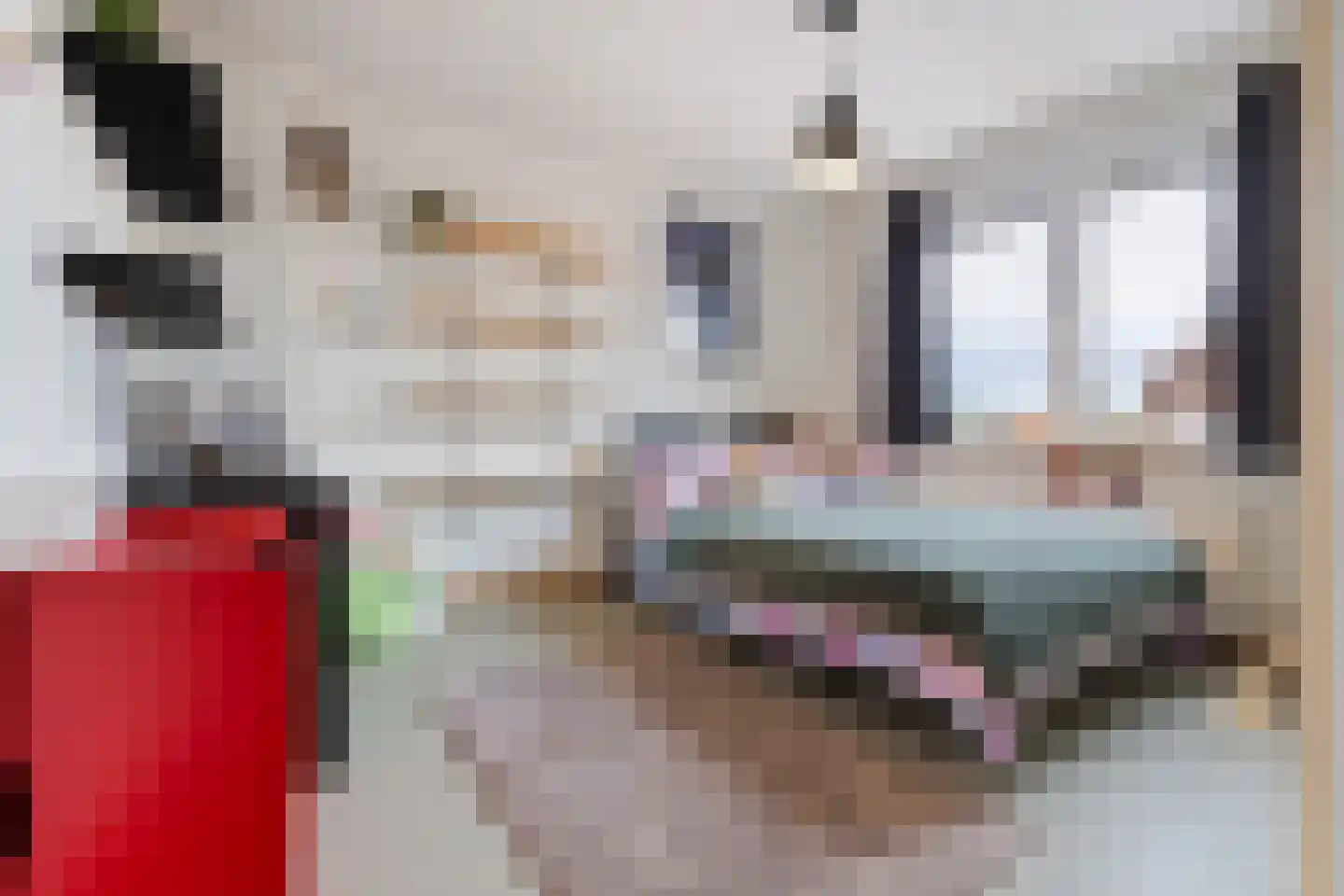 Julianastraat 69 Elsloo thumbnail 32