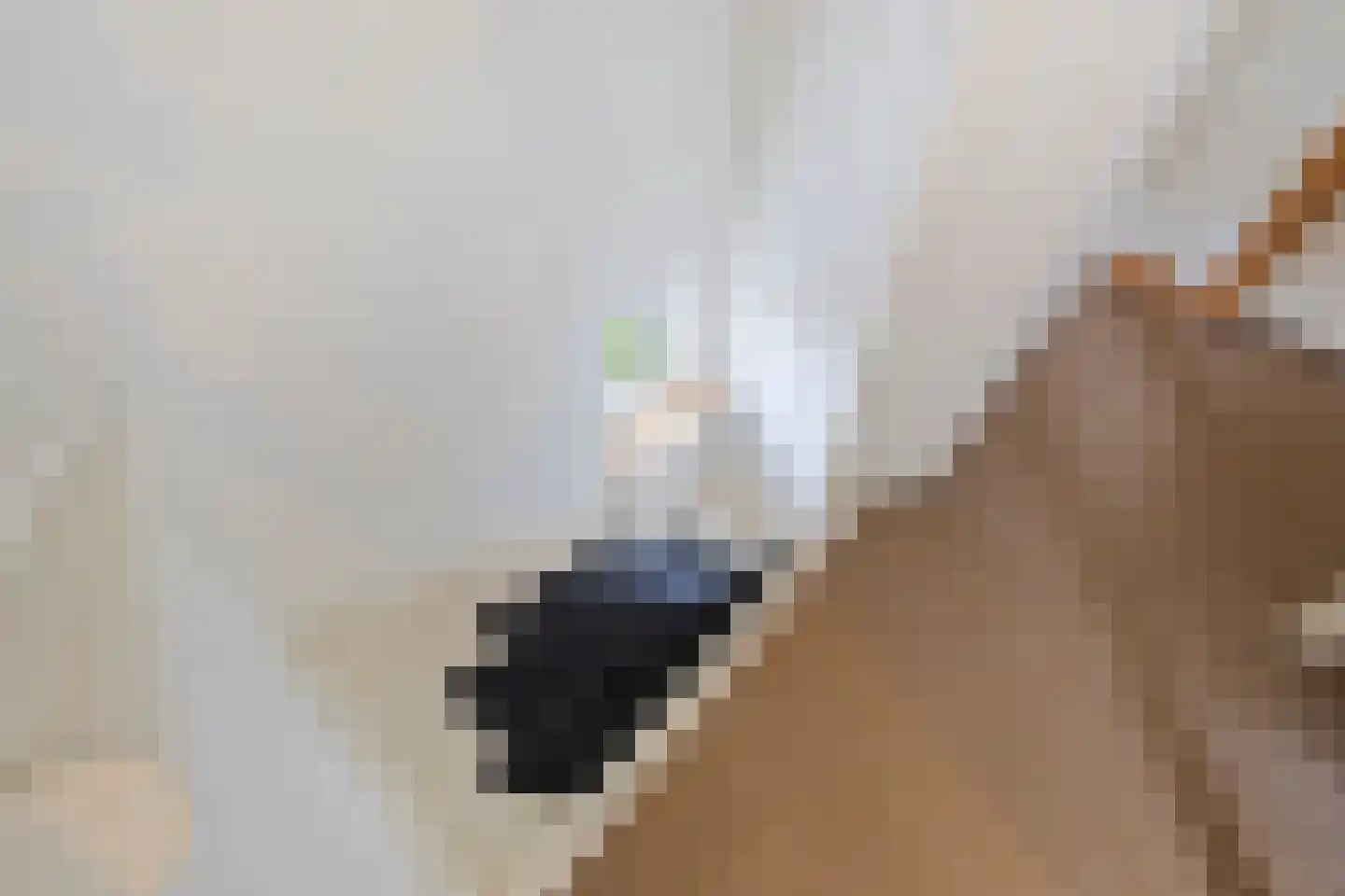 Julianastraat 69 Elsloo thumbnail 39