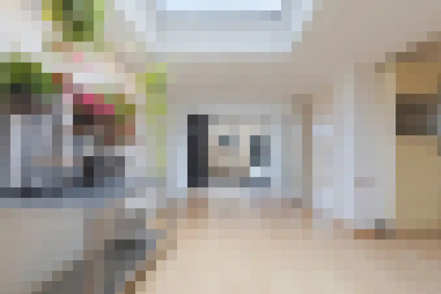 Julianastraat 69 Elsloo thumbnail 4