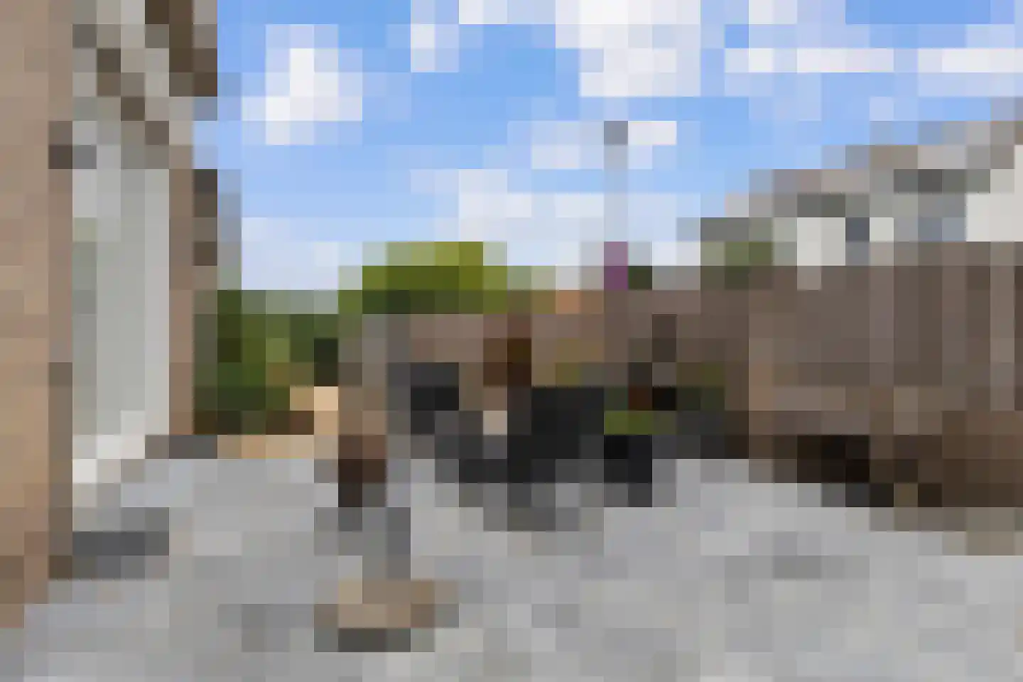 Julianastraat 69 Elsloo thumbnail 5
