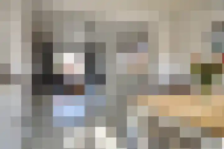 Julianastraat 69 Zuidland thumbnail 10