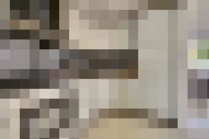 Julianastraat 69 Zuidland thumbnail 11