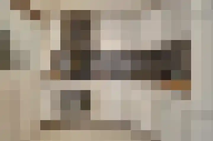 Julianastraat 69 Zuidland thumbnail 12