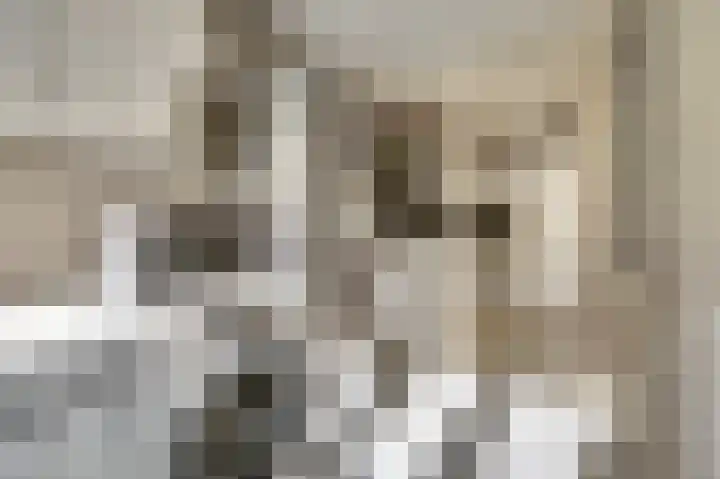 Julianastraat 69 Zuidland thumbnail 13