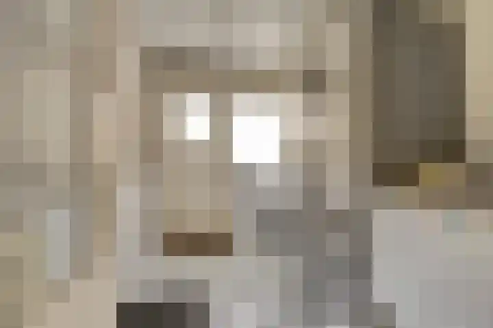 Julianastraat 69 Zuidland thumbnail 14
