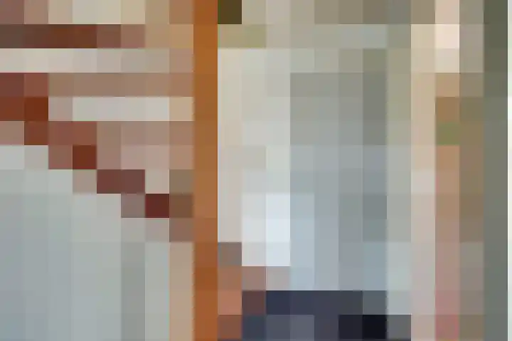 Julianastraat 69 Zuidland thumbnail 17