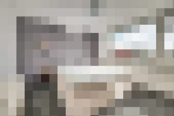 Julianastraat 69 Zuidland thumbnail 18
