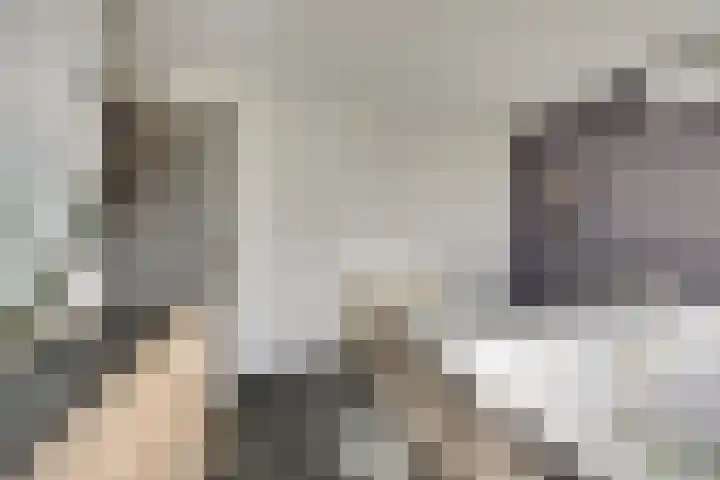 Julianastraat 69 Zuidland thumbnail 19
