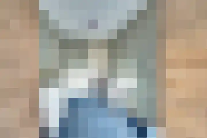 Julianastraat 69 Zuidland thumbnail 21