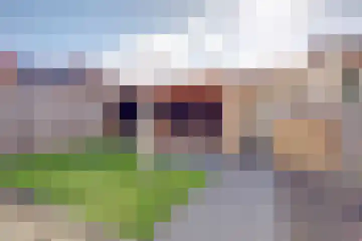 Julianastraat 69 Zuidland thumbnail 29