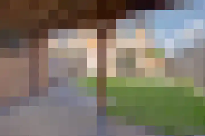 Julianastraat 69 Zuidland thumbnail 31