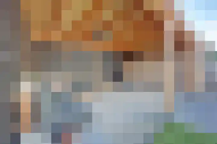 Julianastraat 69 Zuidland thumbnail 32