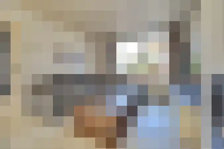 Julianastraat 69 Zuidland thumbnail 5