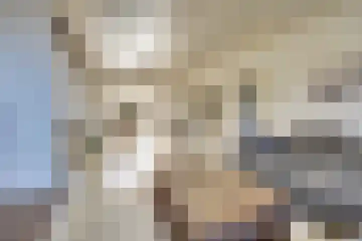 Julianastraat 69 Zuidland thumbnail 6