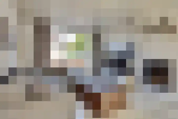 Julianastraat 69 Zuidland thumbnail 7