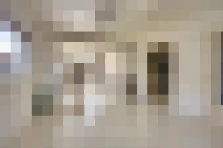 Julianastraat 69 Zuidland thumbnail 8