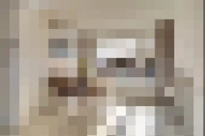 Julianastraat 69 Zuidland thumbnail 9