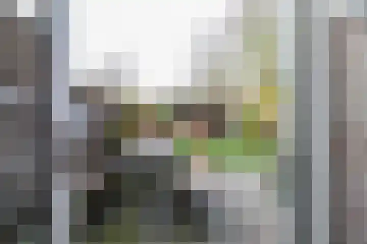 Julianastraat 7 Arum thumbnail 16