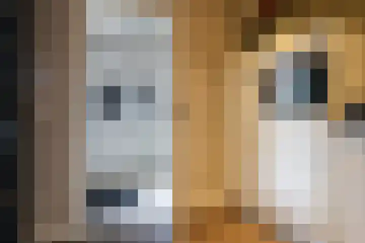 Julianastraat 7 Arum thumbnail 17