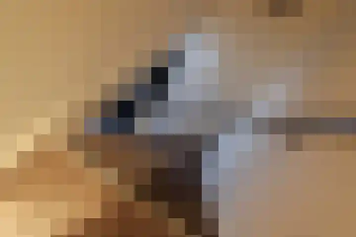 Julianastraat 7 Arum thumbnail 19