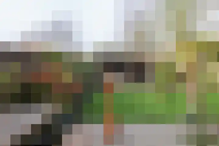 Julianastraat 7 Arum thumbnail 38