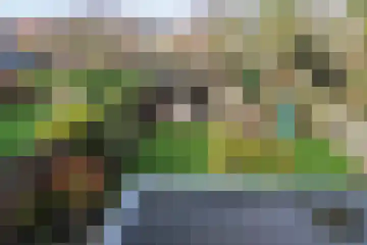 Julianastraat 7 Arum thumbnail 39