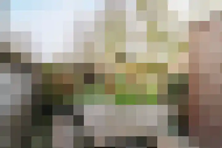 Julianastraat 7 Arum thumbnail 40