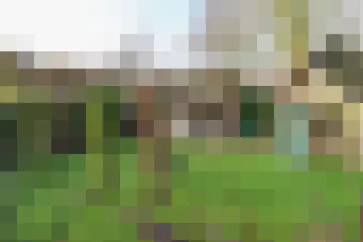 Julianastraat 7 Arum thumbnail 42