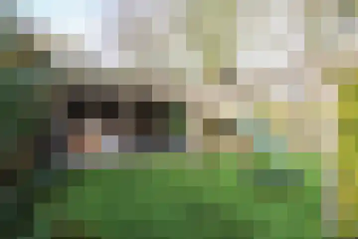Julianastraat 7 Arum thumbnail 44
