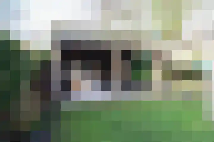 Julianastraat 7 Arum thumbnail 45
